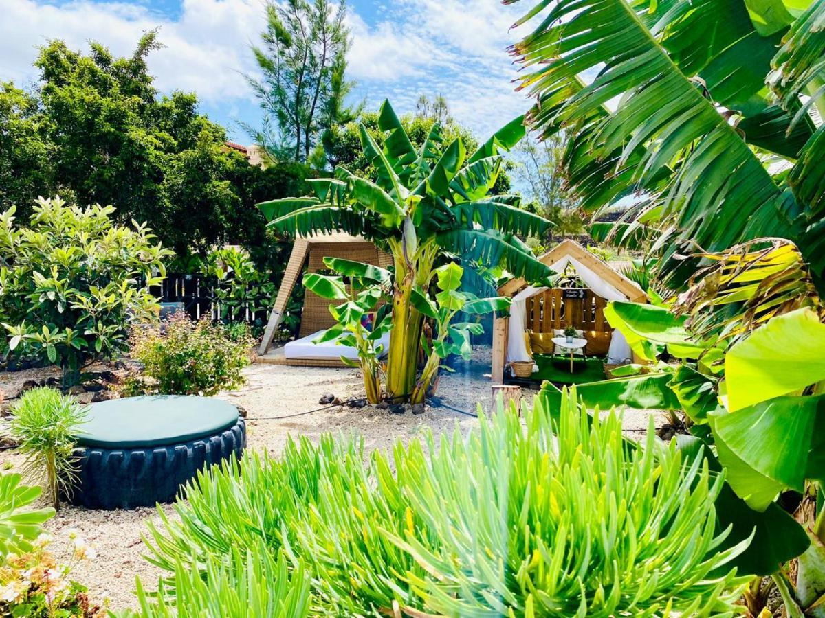 Alisios Hot Tub, Piscina Y Naturaleza Buzanada Εξωτερικό φωτογραφία